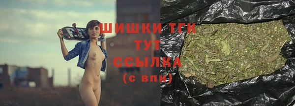 шишки Осинники