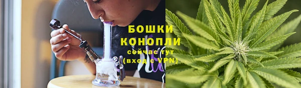 шишки Осинники