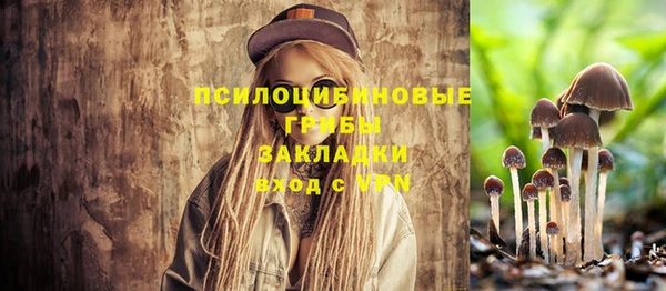 прущий лед Переславль-Залесский