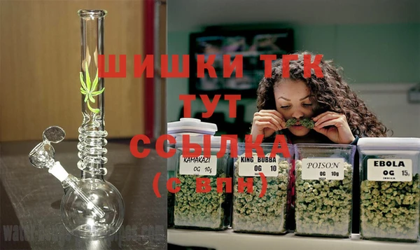 молекула духа Пестово