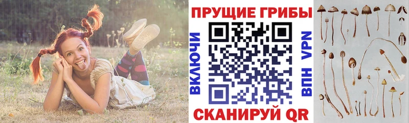 Псилоцибиновые грибы Psilocybine cubensis  Купить закладки  Сургут 